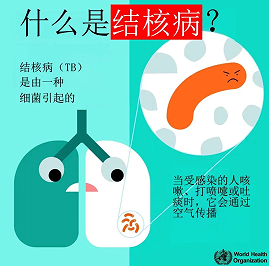 756f91c3-bb9c-479c-80e9-16eb3d17ef14.png 756f91c3-bb9c-479c-80e9-16eb3d17ef14.png